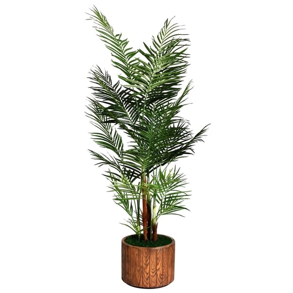 Laura Ashley 81" Tall Areca Palm Tree in 16" Fiberstone Planter