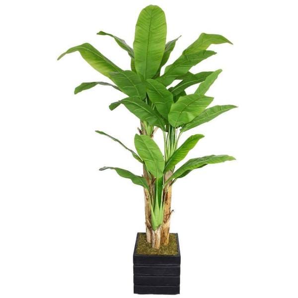 78" Tall Banana Tree with Real Touch Leaves in 14" Fiberstone Planter