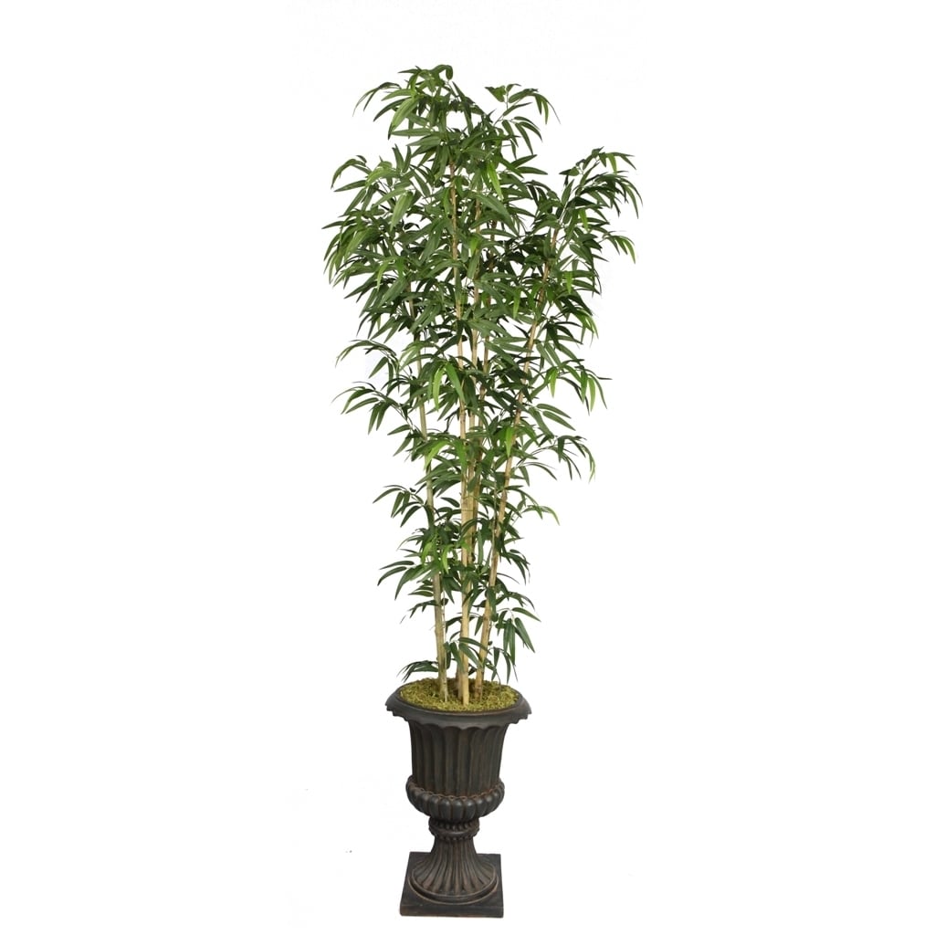 Laura Ashley 86 Tall Natural Bamboo Tree In 16 Fiberstone Planter