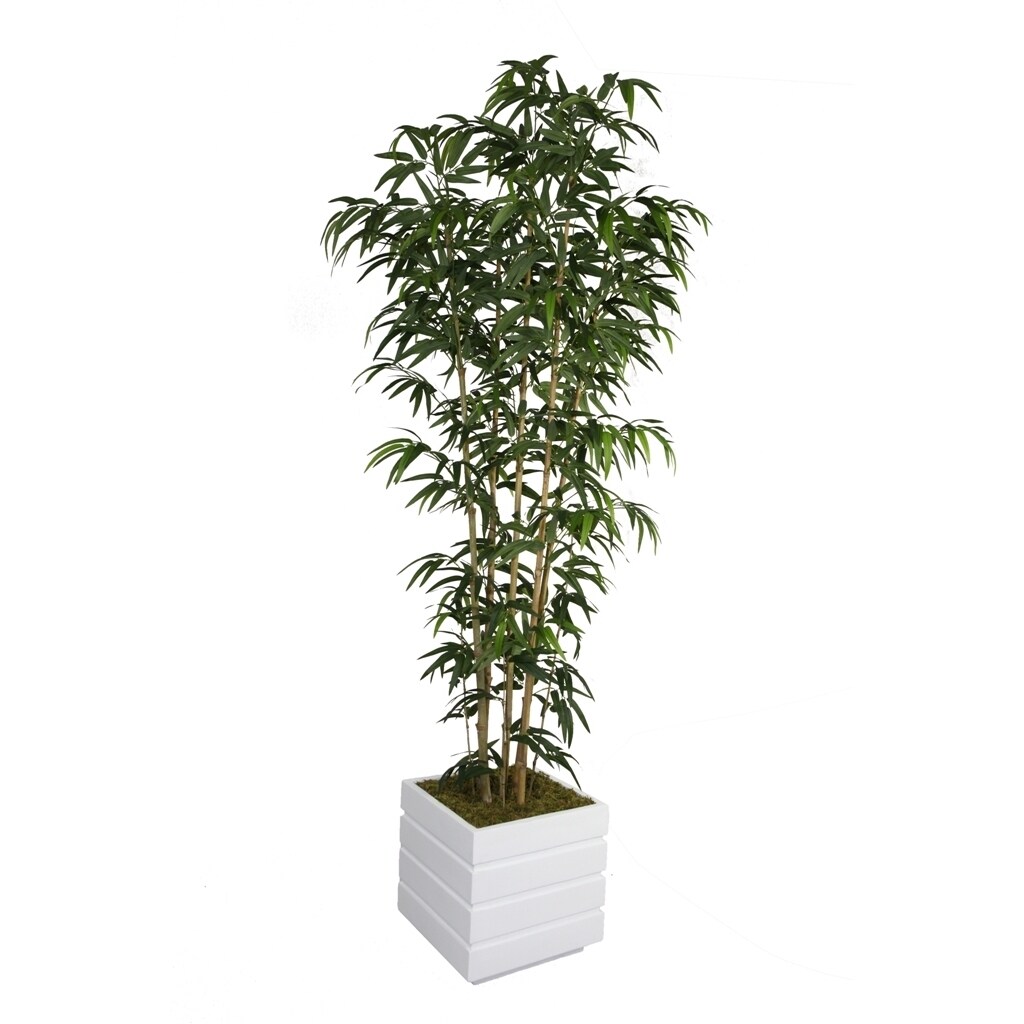 Laura Ashley 78 inch Tall Natural Bamboo Tree In 14 inch Fiberstone Planter