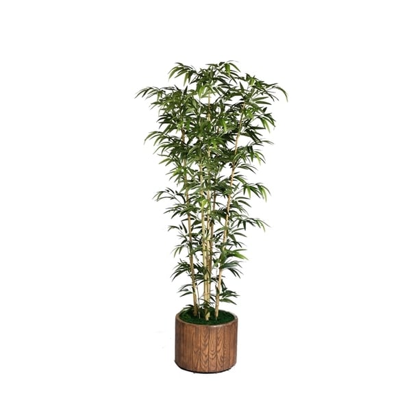 Laura Ashley 77-inch Tall Natural Bamboo Tree in 16-inch Fiberstone Planter