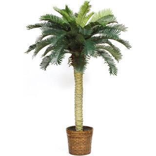 Artificial Plants For Less | Overstock Artificial Plants For Less | Overstock