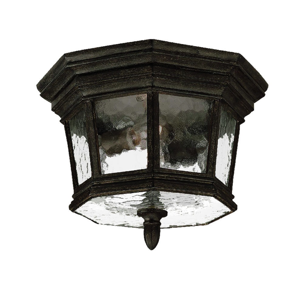 Barrington Collection Ceiling mount 2 light Outdoor Black Coral Light Fixture