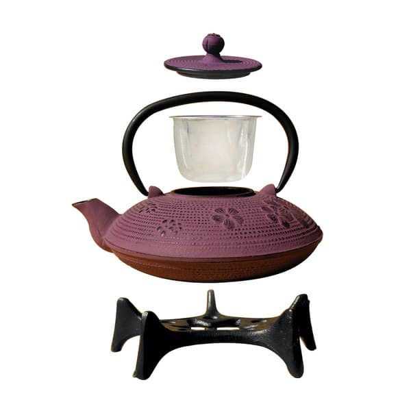 Pink Floral Cast Iron Teapot Kettle with Stainless Steel Infuser (34 oz)