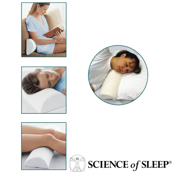 Sleep innovations pillow bed bath store and beyond