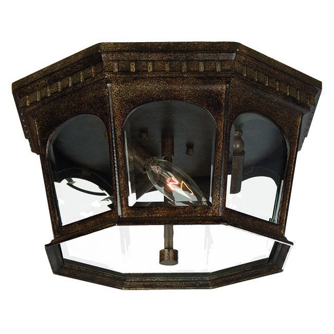 Newcastle Collection Ceiling Mount 3 light Outdoor Black Coral Light Fixture