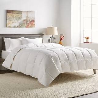 Goose Down Duvet Insert Comforters For Less Osleep All Season Oversize White Goose Down Blend Comforter