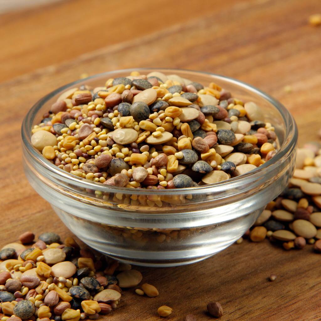 The Sprout House Organic Veggie Queen Sprouting Seeds Mix (1 pound)