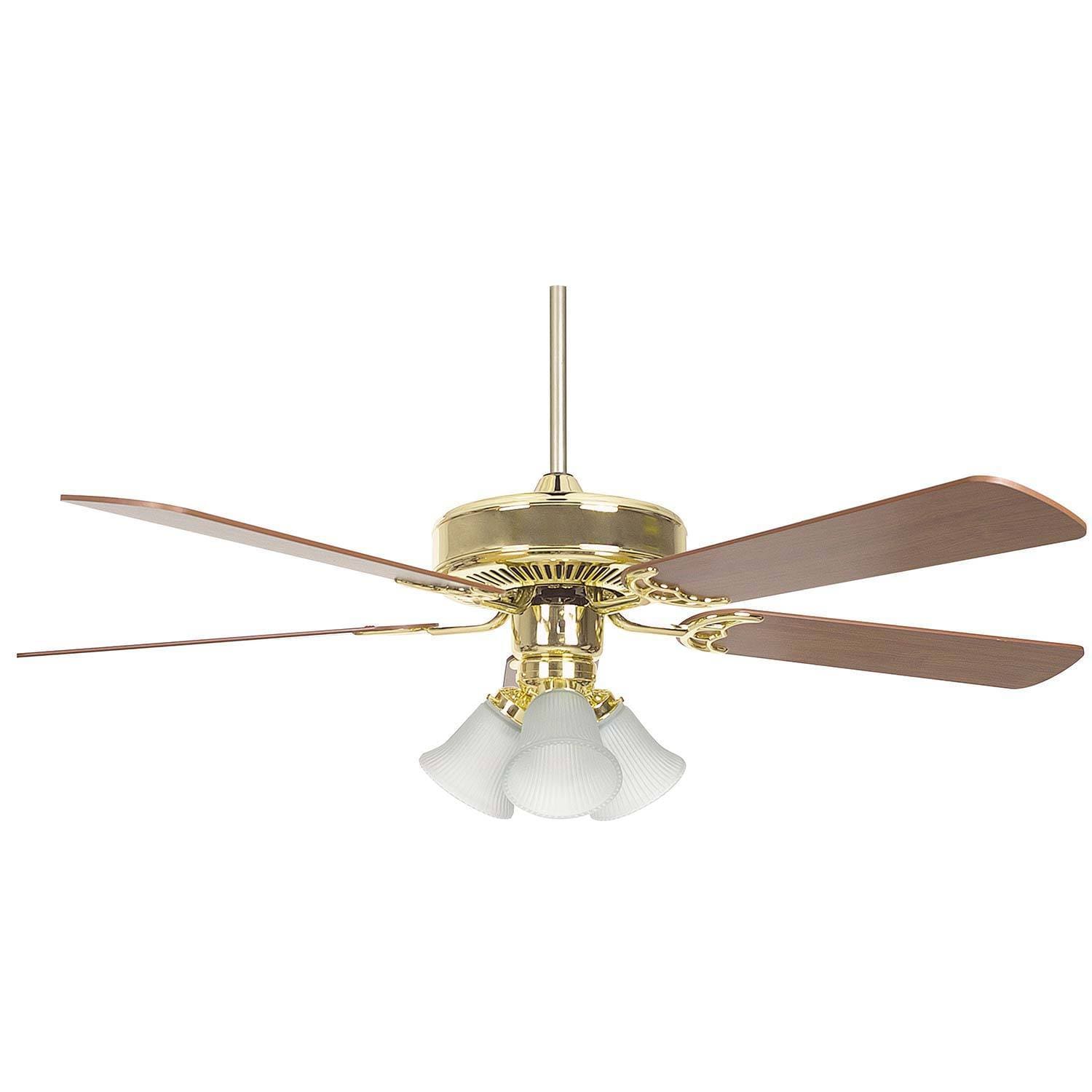 Polished Brass 52 inch 3 light Ceiling Fan