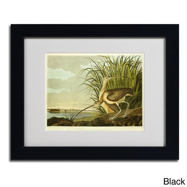 John James Audubon Long Billed Curlew Framed Matted Art