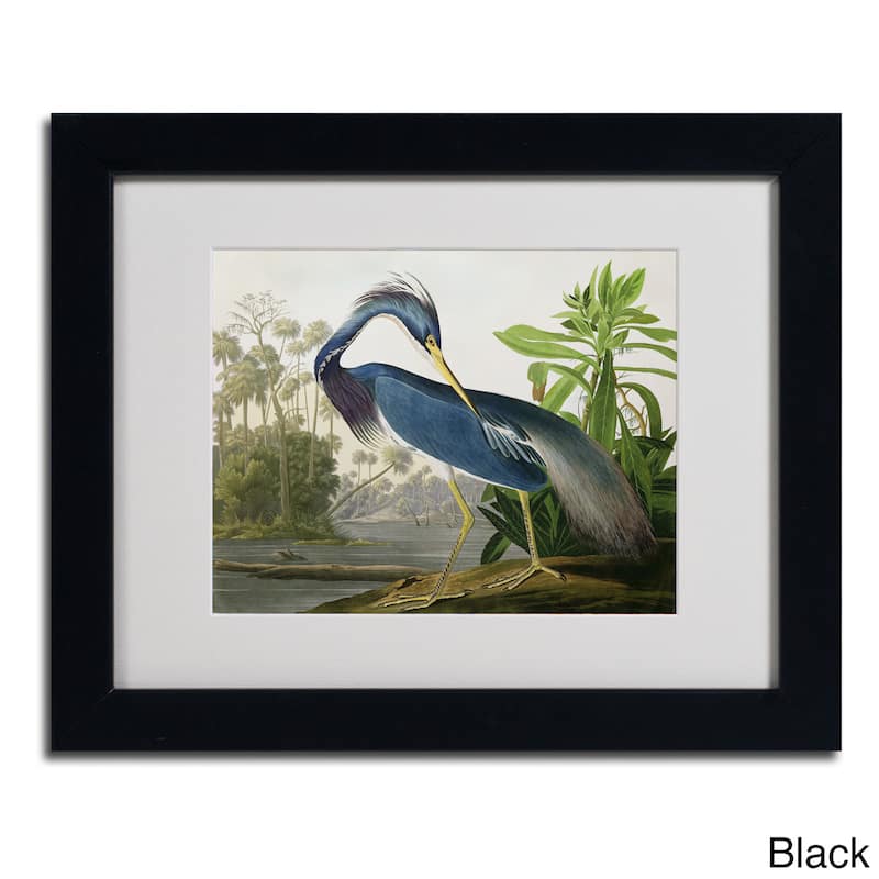 John James Audubon 'Louisiana Heron' Framed Matted Art - 11 x 14 - Black