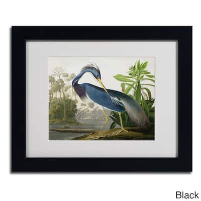 John James Audubon 'Louisiana Heron' Framed Matted Art