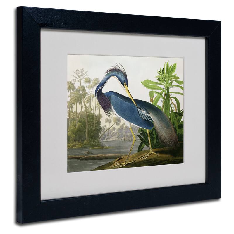 John James Audubon 'Louisiana Heron' Framed Matted Art