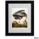 preview thumbnail 1 of 3, John James Audubon 'Great Blue Heron' Framed Matted Art 11 x 14 - Black