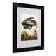 preview thumbnail 3 of 3, John James Audubon 'Great Blue Heron' Framed Matted Art