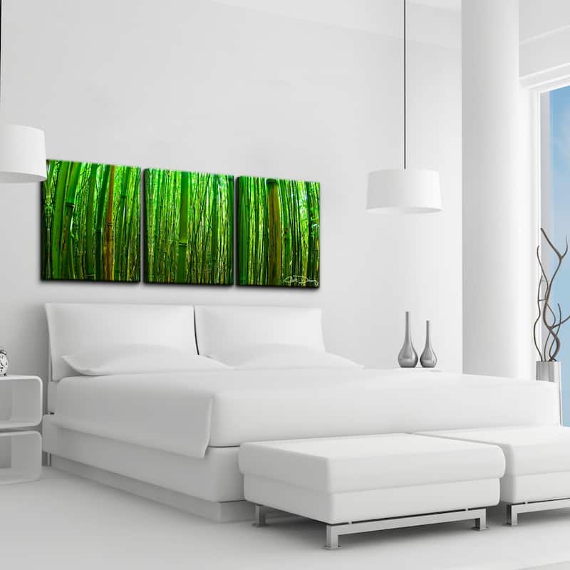 Sterling 'Maui Palms' 3-piece Canvas Wall Art by Chris Doherty