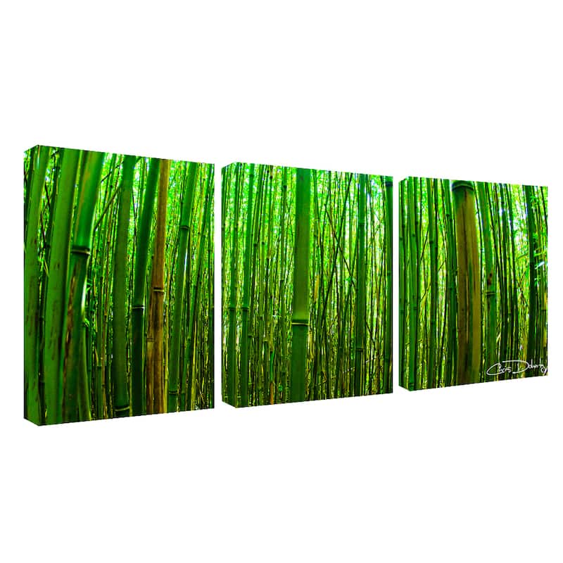 Sterling 'Maui Palms' 3-piece Canvas Wall Art by Chris Doherty