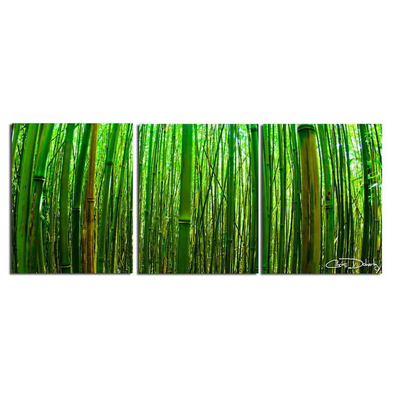Sterling 'Maui Palms' 3-piece Canvas Wall Art by Chris Doherty