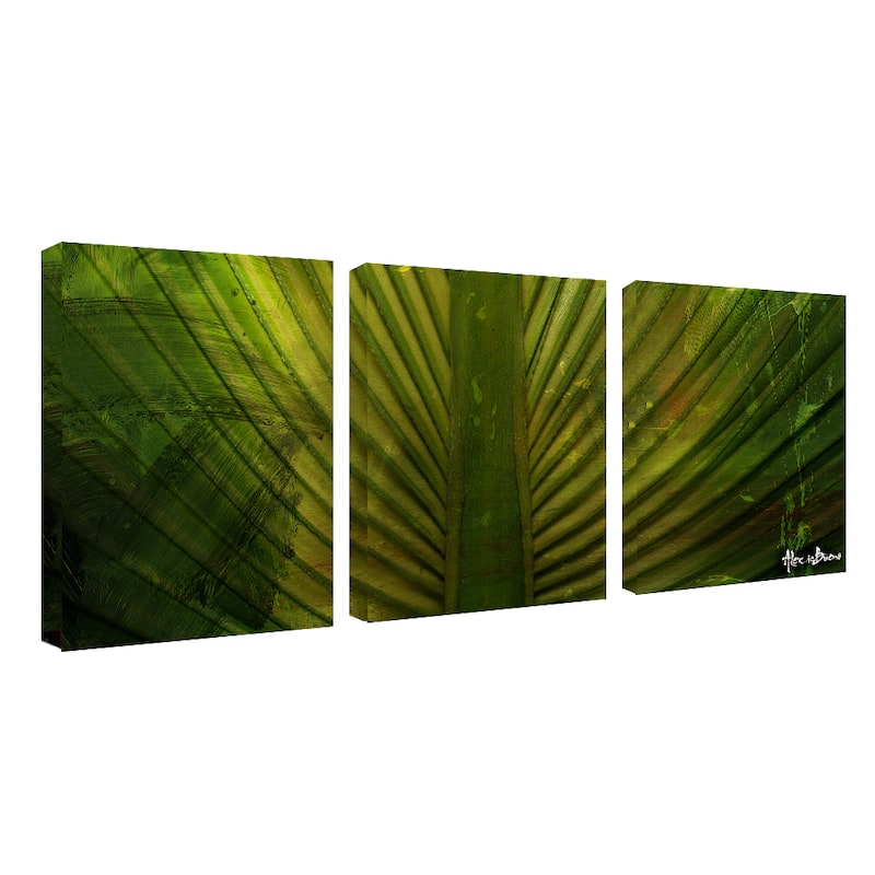 Ready2HangArt 'Palms' 3-piece Canvas Wall Art