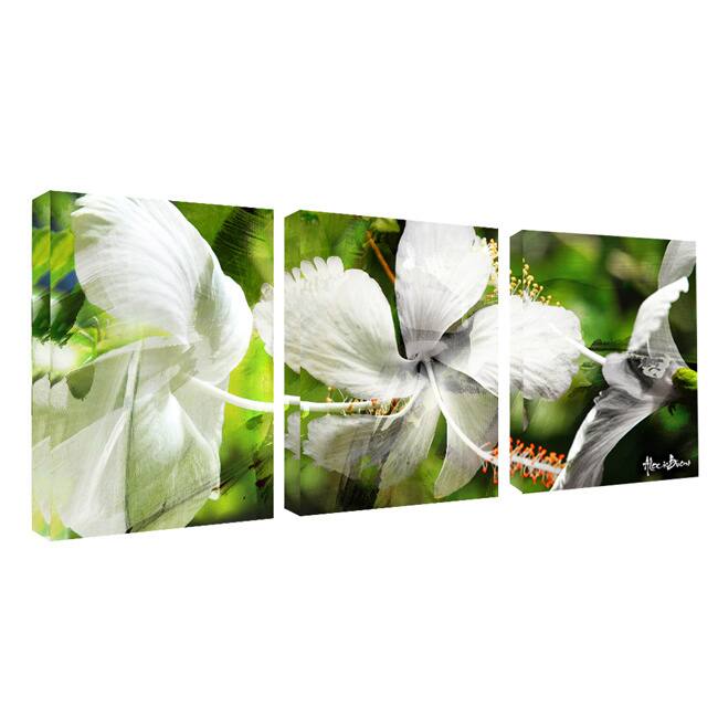 Ready2HangArt 'White Floral Study' 3-piece Canvas Wall Art