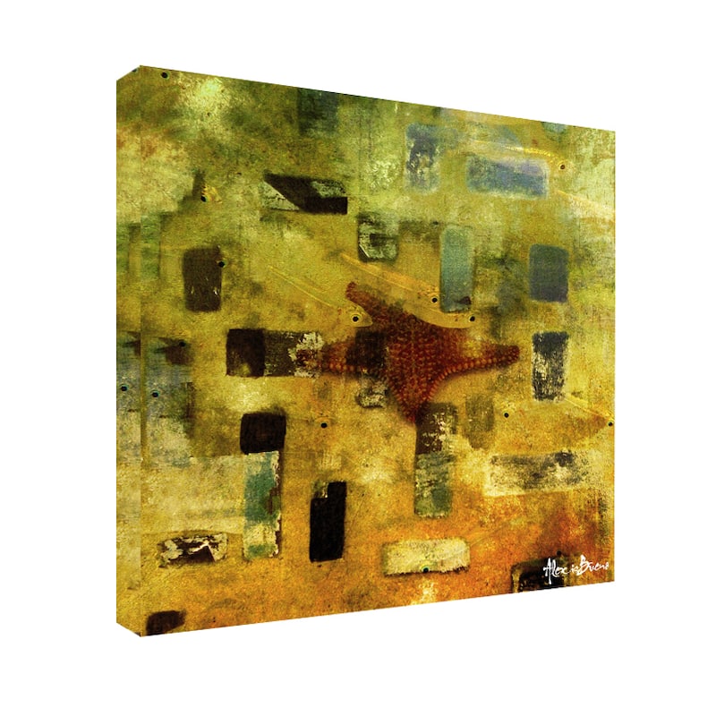 Ready2HangArt 'Abstract Star Fish' Canvas Wall Art