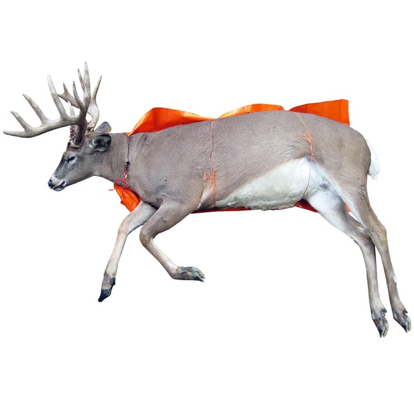 Cass Creek Game Glide