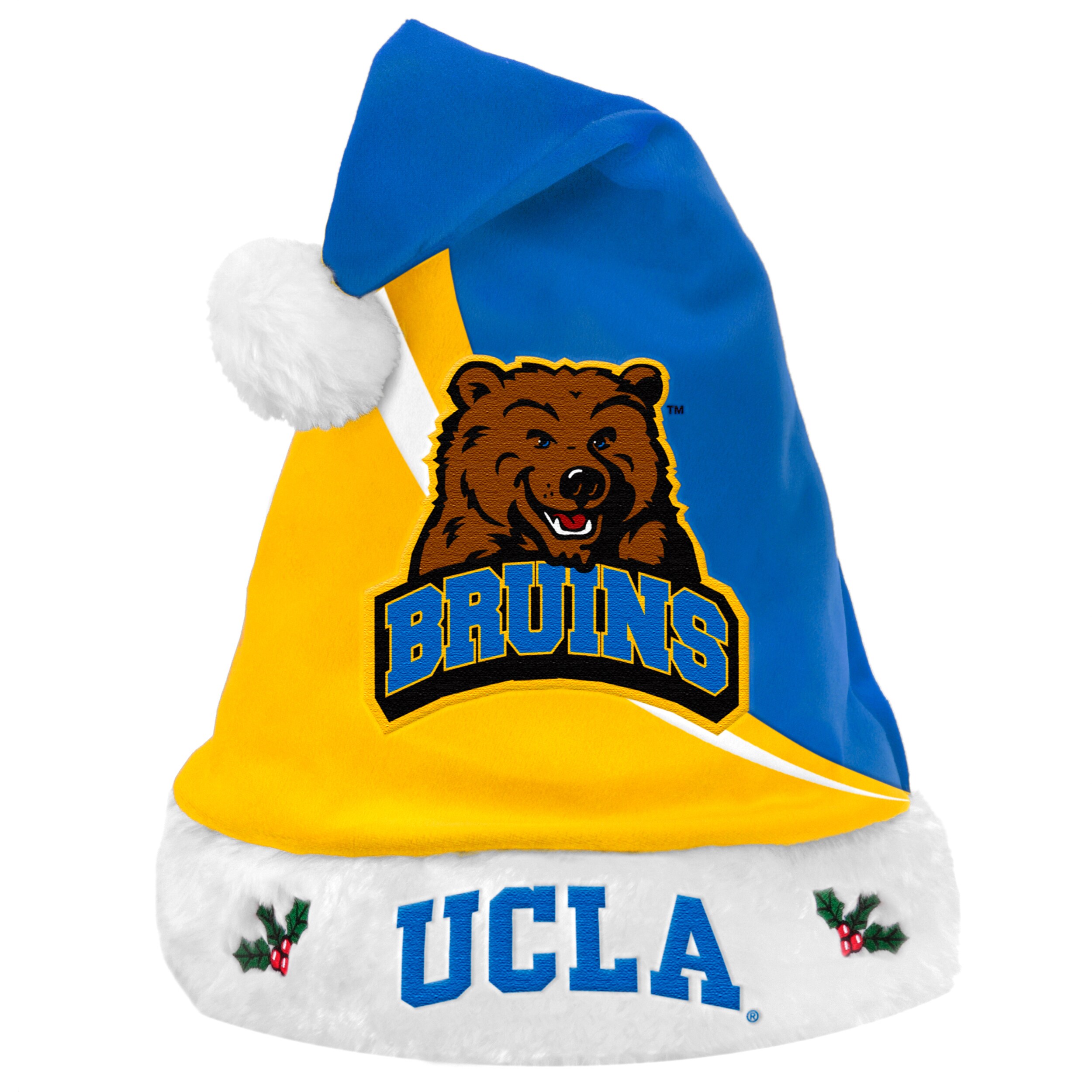 bruins santa hat