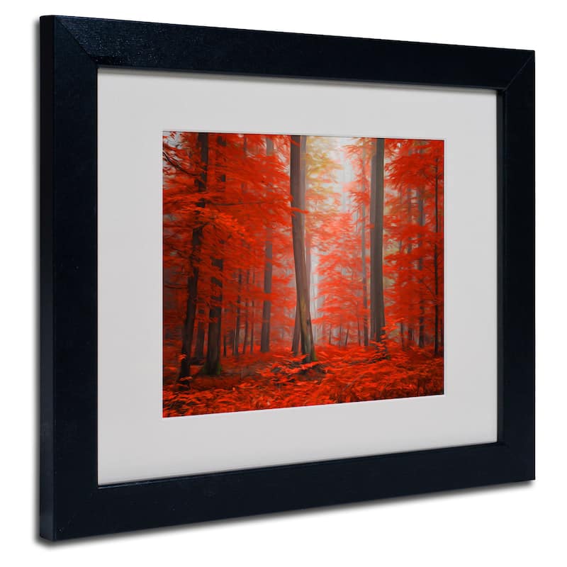 Philippe Sainte-Laudy 'Speaking of Tongue' Framed Matted Art