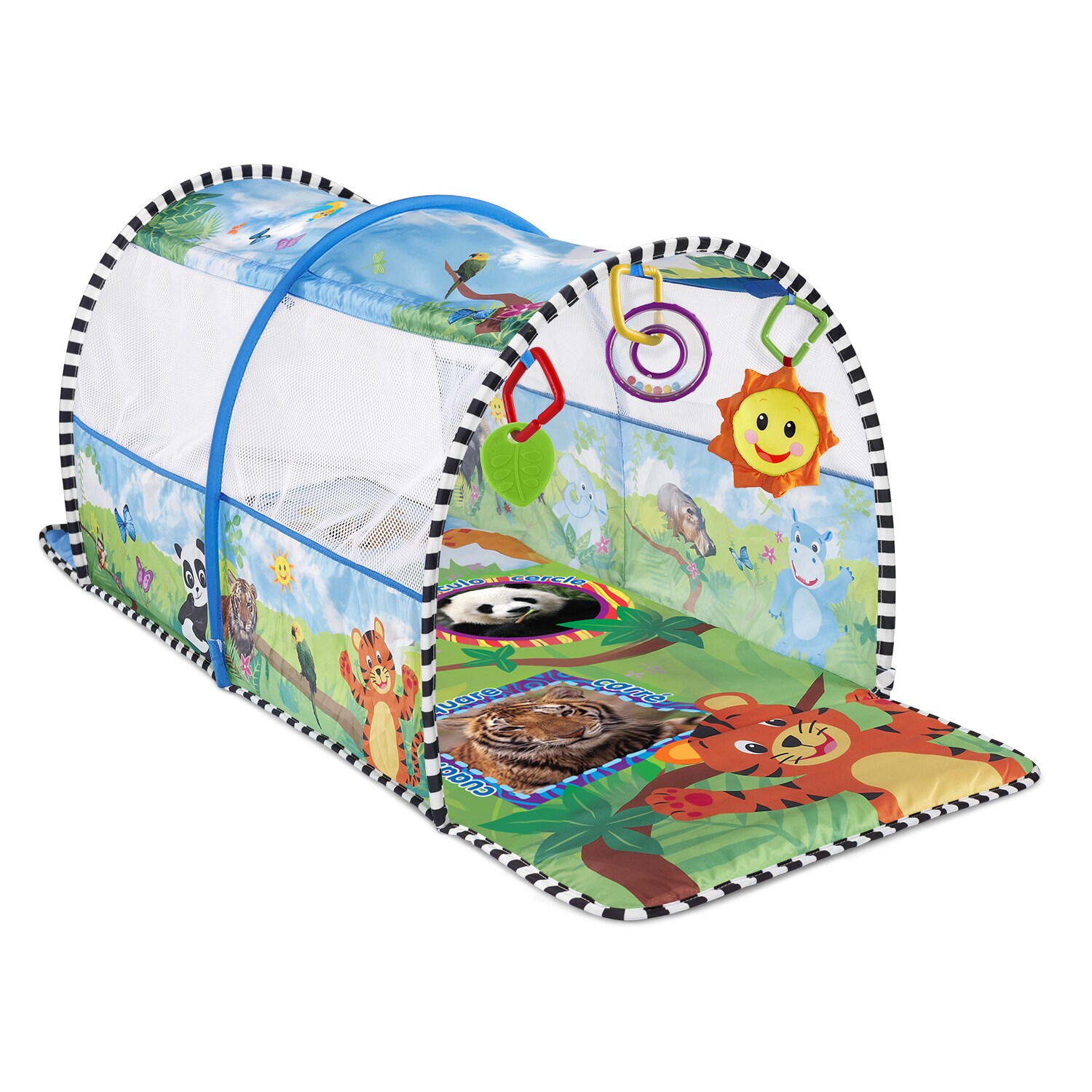 baby einstein 2 in 1