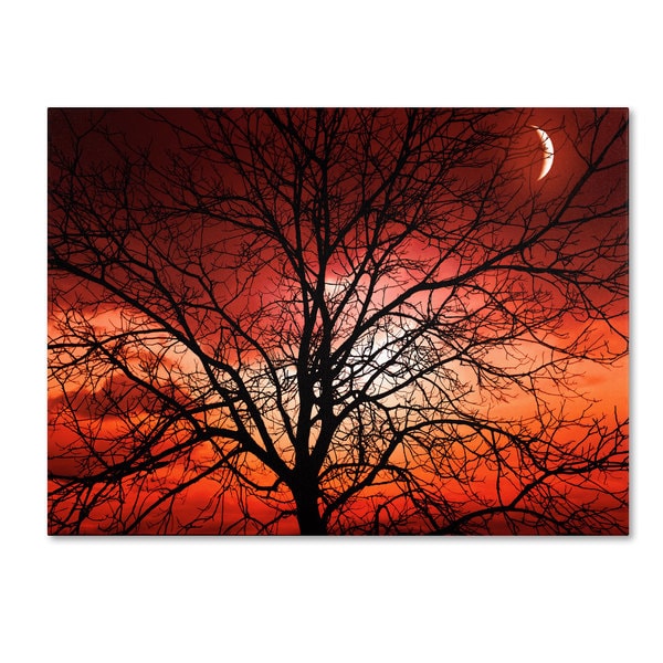 Philippe Sainte Laudy 'Big Bad Moon' Canvas art Trademark Fine Art Canvas