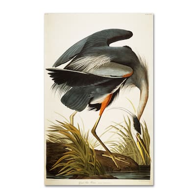 John James Audubon 'Great Blue Heron' Canvas Art