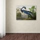 preview thumbnail 3 of 1, The Curated Nomad John James Audubon 'Louisiana Heron' Canvas Art