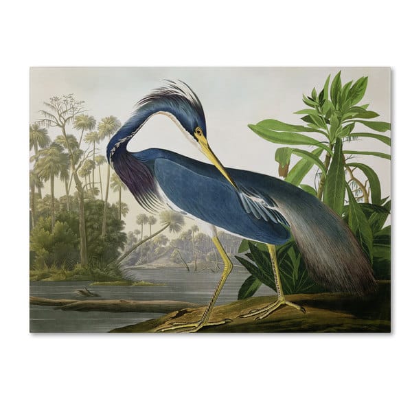 slide 2 of 3, The Curated Nomad John James Audubon 'Louisiana Heron' Canvas Art