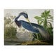 preview thumbnail 1 of 1, The Curated Nomad John James Audubon 'Louisiana Heron' Canvas Art