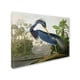 preview thumbnail 2 of 1, The Curated Nomad John James Audubon 'Louisiana Heron' Canvas Art