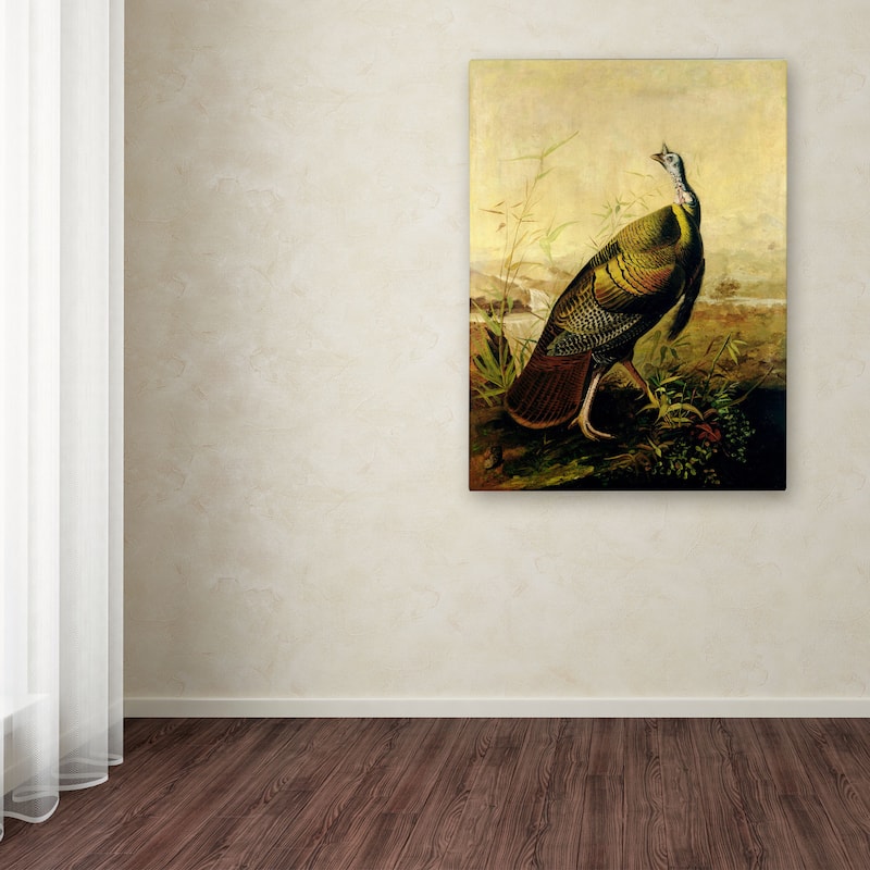 John James Audubon 'American Wild Turkey Cock' Canvas Art - Multi