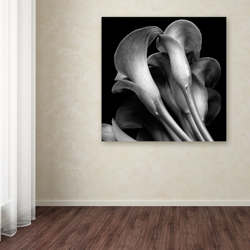 Michael Harrison 'Lillies' Canvas Art