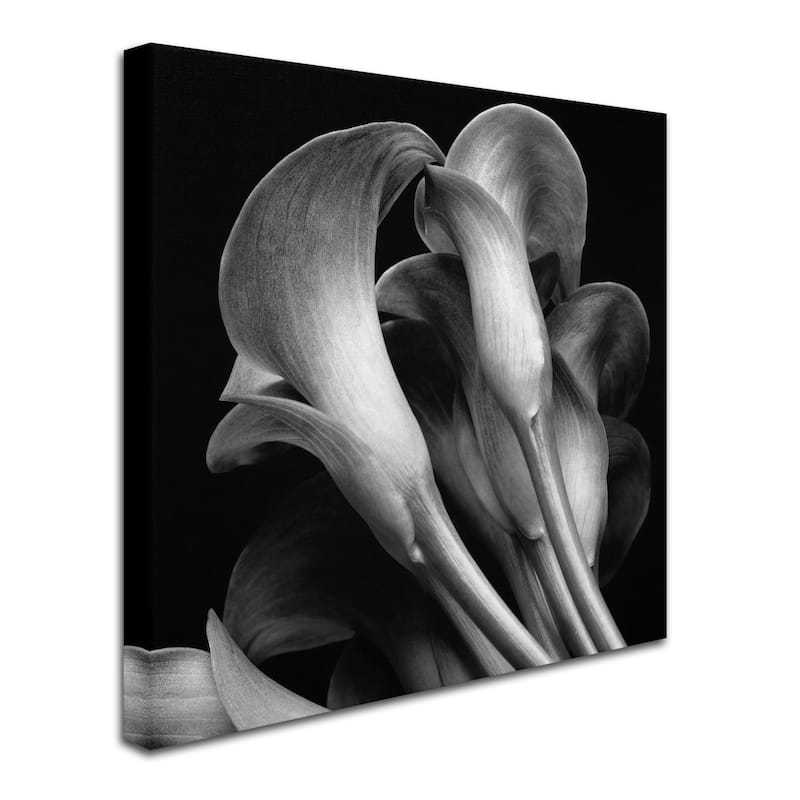Michael Harrison 'Lillies' Canvas Art