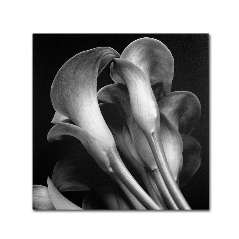 Michael Harrison 'Lillies' Canvas Art