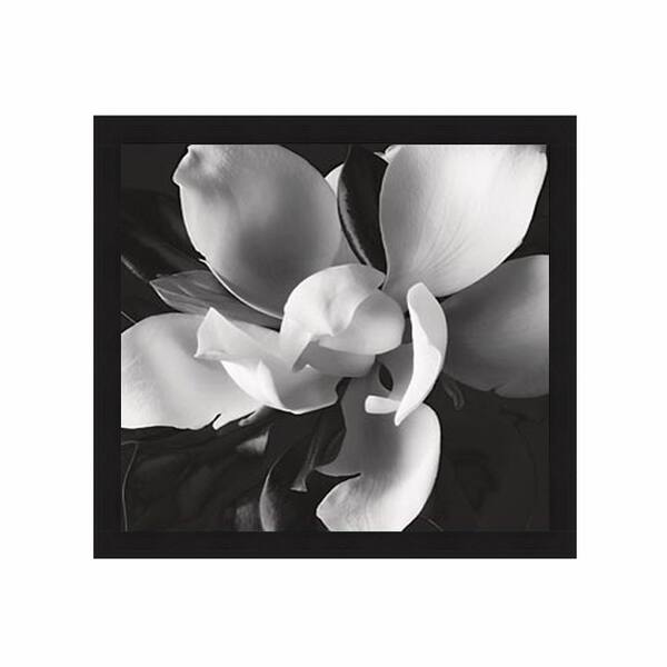 Christine Elizabeth 'The Unfolding III' Framed Art Print - Bed Bath ...