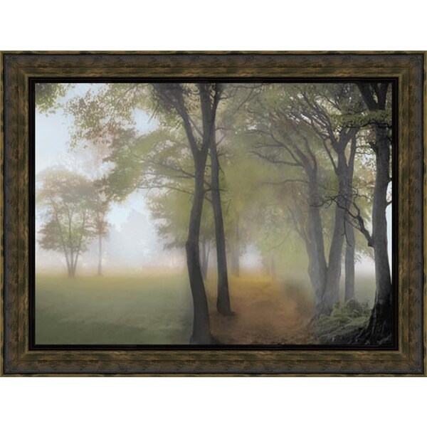 Steven Mitchell 'Misty Path' Framed Art Print