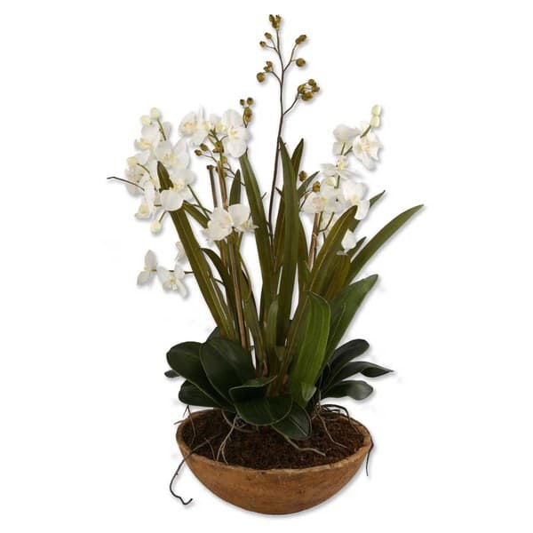 slide 1 of 1, Uttermost Moth Orchid Planter