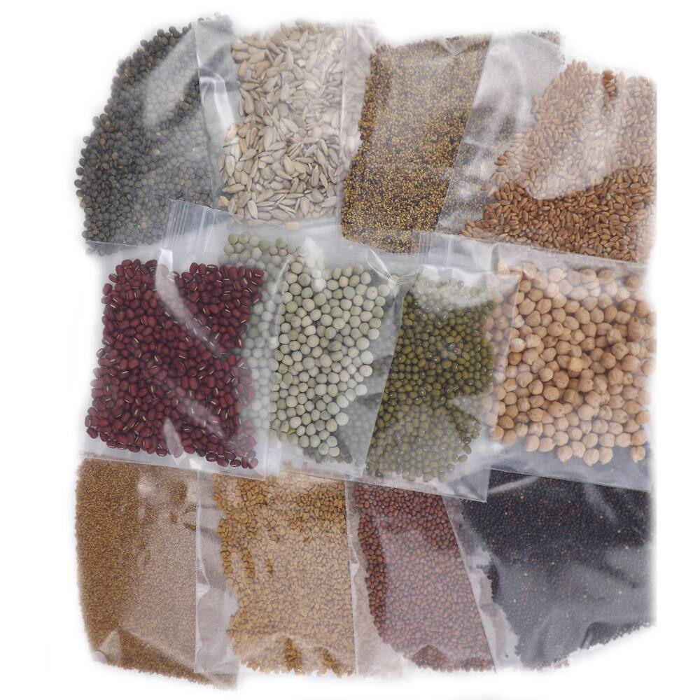 The Sprout House Assorted Organic Sprouting Seeds Sample Pack (Pack of 12)