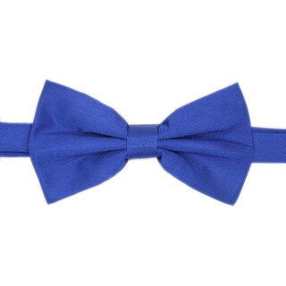 Ferrecci Men's Royal Blue Bowtie