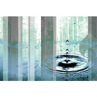 Parvez Taj 'Meadow' Canvas Art