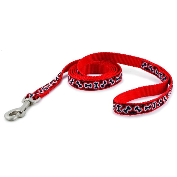 PetSafe Fido Finery 6 foot Pet Dog Leash (Rolling Bones) PetSafe Leashes