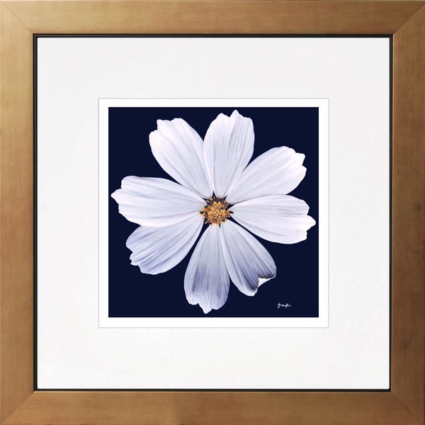 Grace Absi Cosmos Giclee Framed Art