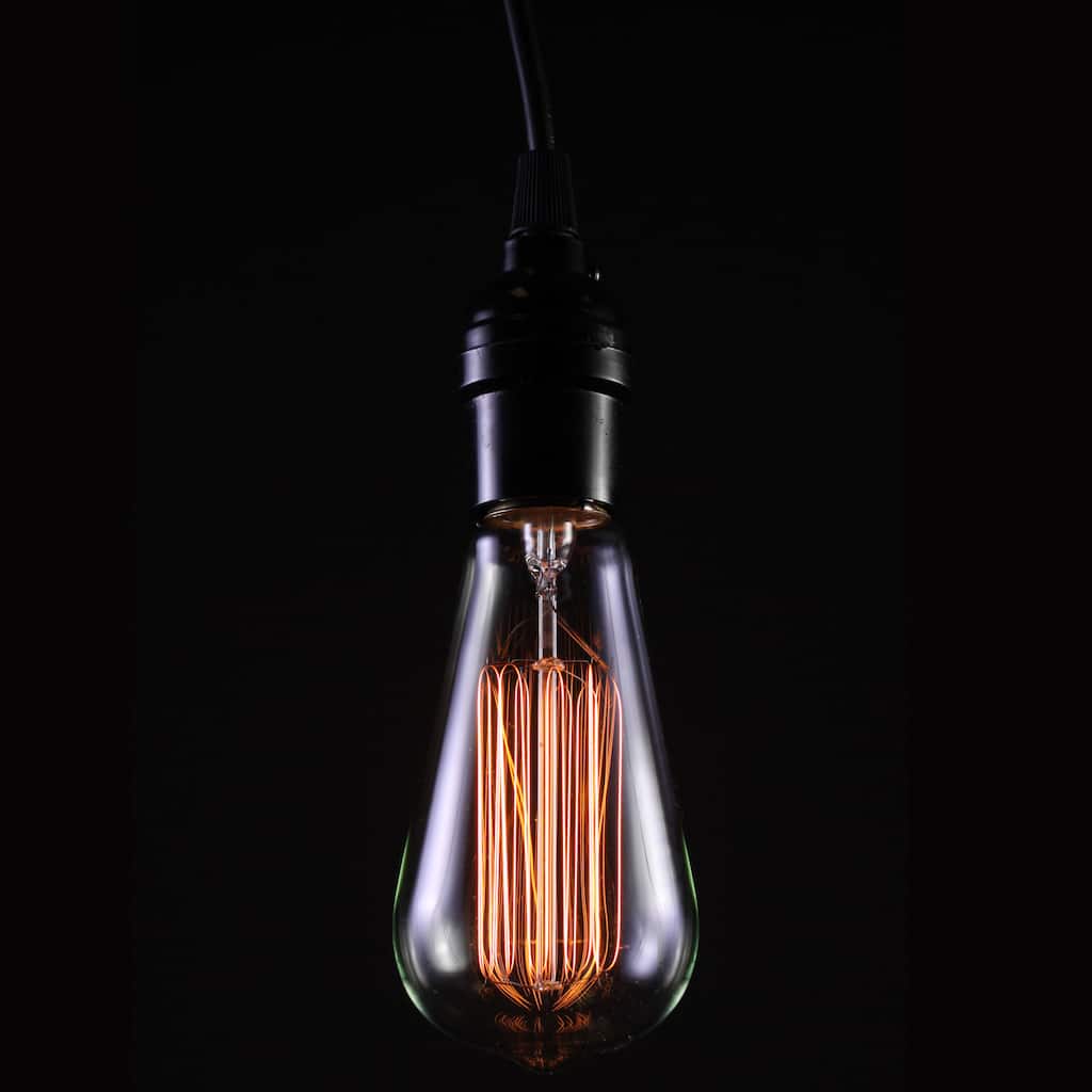 Alexandra Adjustable Height Edison Lamp with 1-light