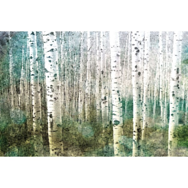 Handmade Parvez Taj - Aspen Green Canvas Print