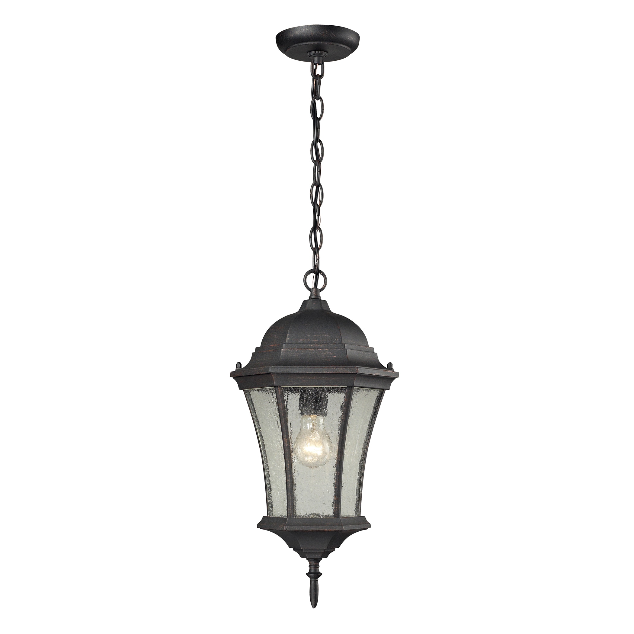 Wellington Park 1 light Outdoor Pendant